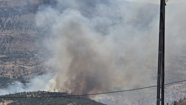 Adıyaman’da orman yangını: Havadan ve karadan müdahale başladı