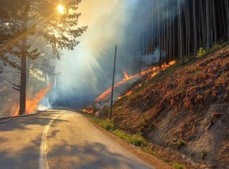 Bursa Uludağ Yolu’nda orman yangını