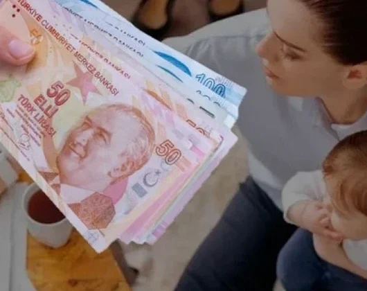 Aile Bakanlığınca kadınlara yapılan sosyal yardımlar ve tutarları