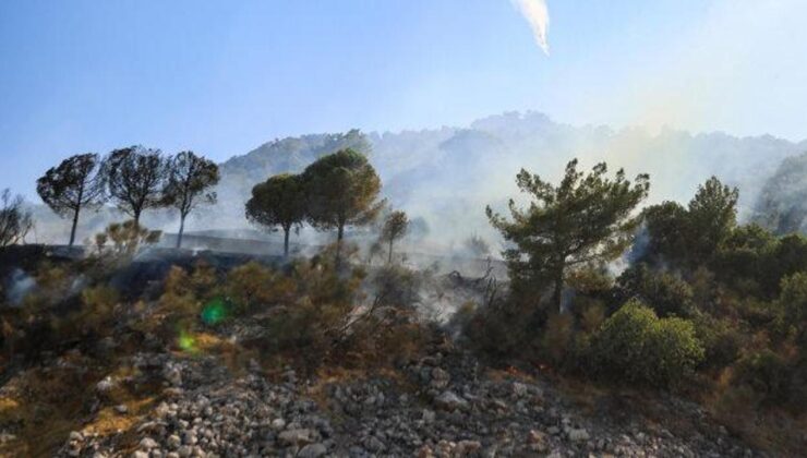 Antalya’da orman yangını: Kontrol altına alındı!