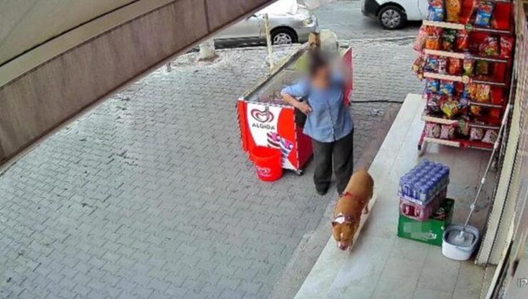 İzmir’de pitbull dehşeti! Kadının işaret parmağını kopardı