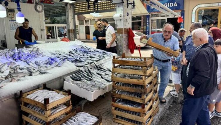 Karadeniz’de palamut bolluğu: Fiyatların daha da düşmesi bekleniyor