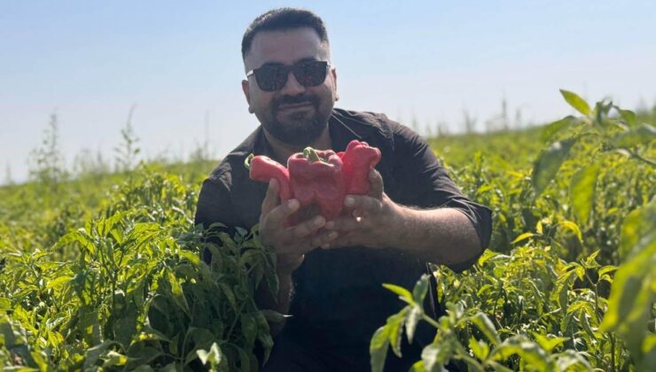 Kış hazırlığı başladı! Şehirde tezgahlar doldu: Vatandaş çuvalla satın alıyor