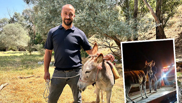 Eşeğinin başına gelenleri duyunca inanamadı: Arkadaşı link atıp haber verdi | ‘Videoyu izleyince hemen 112’yi aradım’
