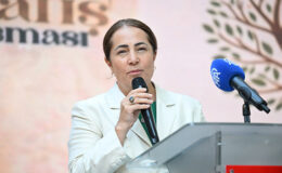 Korkutan nüfus tablosu: Türkiye’de her 100 hanenin 58’inde çocuk sesi yok