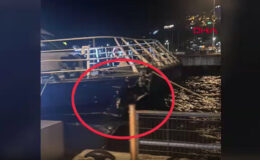 Mudanya’da İDO deniz otobüsü iskeleye çarptı
