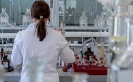 H5N1’de dikkat çeken gelişme! Avustralya’da ilk kez bir deniz aslanında tespit edildi
