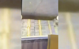 Yeni görüntüler ortaya çıktı! Vanlı Kara Haydar balya balya döviz desteleriyle