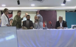 Adalar Belediye Başkan Vekili Medine Pamuk görevinden istifa etti