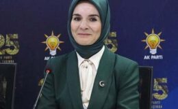 Aile ve Sosyal Hizmetler Bakanı Mahinur Özdemir Göktaş’tan ‘doğum yardımı’ açıklaması: 25 milyar lira kaynak aktardık