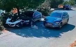 Bodrum’da bir sürücü iki köpeği ezdi, yoluna devam etti