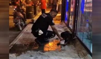 Hatay’da sokak köpeğini av tüfeğiyle yaralayan şüpheli gözaltına alındı
