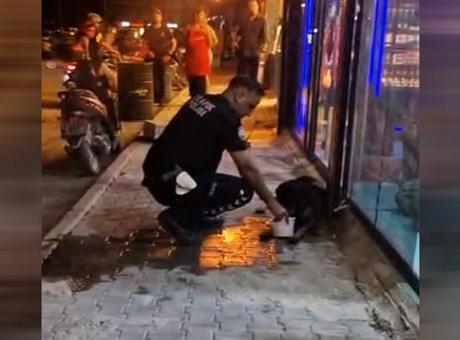 Hatay’da sokak köpeğini av tüfeğiyle yaralayan şüpheli gözaltına alındı