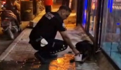 Sokak köpeğini av tüfeğiyle vuran şüpheli gözaltına alındı