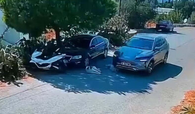 Köpeklerin üzerinden otomobille geçip kaçmıştı: Şüphelinin yeri belirlendi