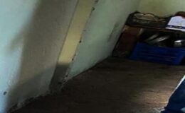 Aydın’da temizlik sırasında korkunç son