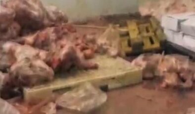 Yakalanmasalardı vatandaşa yedireceklerdi! Başkentte 104 ton bozuk et ele geçirildi