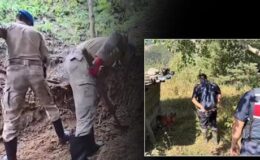 Mağarada tek başına yaşıyordu! 30 yıl sakladığı sır ortaya çıktı
