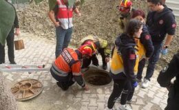 Kırık rögar kapağı kabusu! 76 yaşındaki kadın metrelerce aşağı düştü