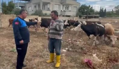 Besicinin aldığı önlem işe yaradı! Gaziantep’te kaybolan 17 büyükbaş bulundu