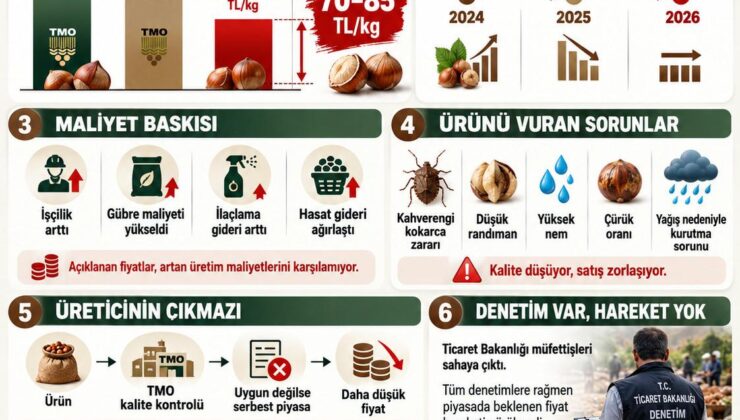 TMO 250 TL dedi, piyasa 170 TL’de kaldı! Çiftçi fiyat, kokarca ve yağmur arasında sıkışıp kaldı
