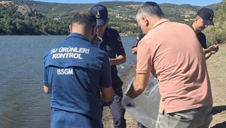 Çanakkale’de barajdaki balık ölümlerine inceleme