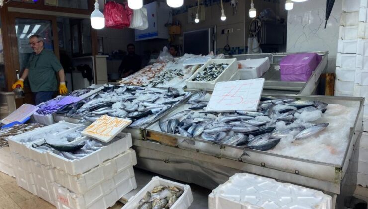 ‘Kestane karası’ gelmeden lakerda hazırlığı başladı! Buldukları an tuzluyorlar!