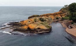 Karadeniz kıyısında bir doğa harikası: Ordu’daki Timsah Adası ilgilerin odağında