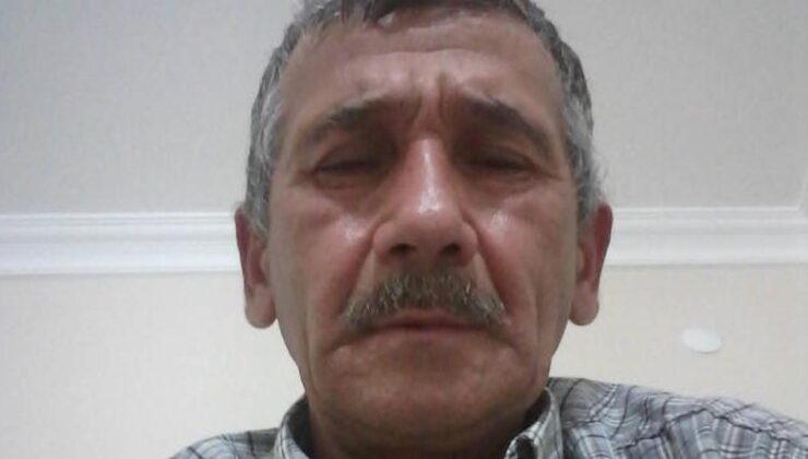 Kesilen ağacın dalının çarptığı orman işçisi öldü