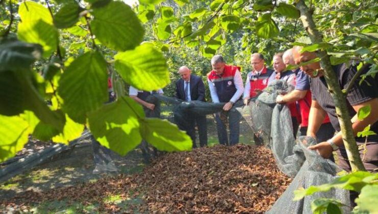 İşçilik maliyetini yüzde 70 düşüren yöntem! 60 işçi yerine 15 kişiyle hasat başladı