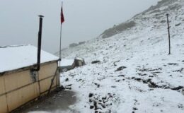 Rize’de yılın ilk karı lapa lapa yağdı