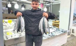 Sinop’ta palamut bereketi! Tezgahlarda fiyatı 50 liraya kadar geriledi