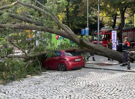 Şişli Harbiye’de korkutan anlar! Şiddetli rüzgar ağacı otomobilin üzerine devirdi