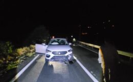 Tunceli-Erzincan kara yolunda aniden yola fırladı! Cipin çarptığı ayı öldü