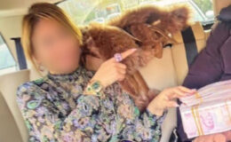 Adliyede rüşvet ve müdahale skandalı: 5 yargı mensubu açığa alındı, eski hakim tutuklandı