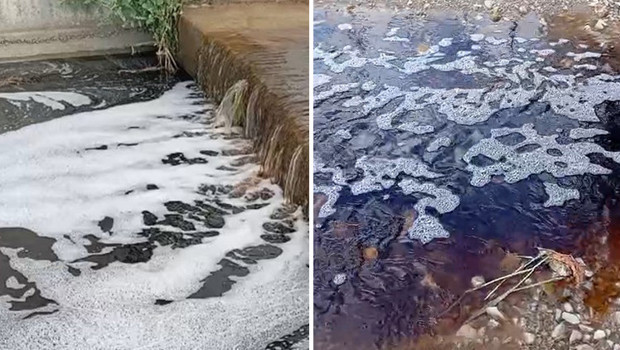 Yalova’da deniz yüzeyinde dikkat çeken görüntü