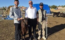 Yozgat’ta 70 koyunla başladı, sürüsünü 700’e çıkardı! Üniversite mezunu oğlunu köye çağırdı