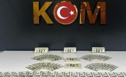 Bodrum’da 46 bin 200 sahte ABD doları ele geçirildi, 1 tutuklama