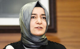 Kaya ve eşi için denetim raporu