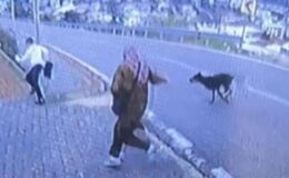 Bursa’da köpek dehşeti! Kaçmaya çalışan çocuk bacağını kırdı
