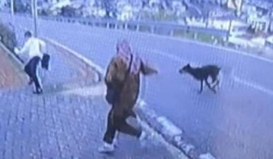 Bursa’da köpek dehşeti! Kaçmaya çalışan çocuk bacağını kırdı