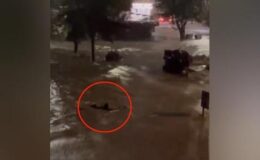 Sarıyer’de korkunç anlar! Göle dönen caddede akıntıya kapılmamak için böyle yüzdü: O anlar kamerada