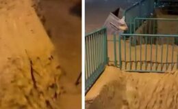 Kocaeli’de sağanak su baskınlarına neden oldu