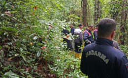 Sapanca’da kestane toplamak için gittiği ormanda cansız bedeni bulundu