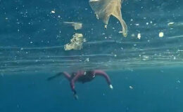 Antalya’da deniz içi plastik kirliliği havadan ve su altından görüntülendi! ‘Bu sularda yüzmeyin’ uyarısı