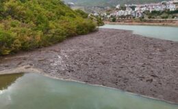 Tunceli’de sağanak sonrası korkutan görüntü! Munzur ve Pülümür’den gelen atıklar kıyıya yığıldı