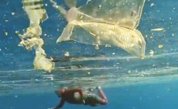 Akdeniz’de plastik kirliliği