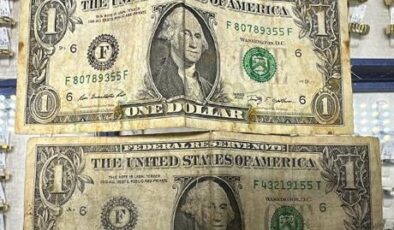 Alihan Kuriş suç örgütü soruşturmasında yeni gelişme! Çelik kasada F serisi 5 adet 1 dolar bulundu