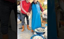 Lüfer akında ama 1000 TL