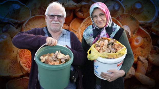 Kovasını alan ormana gidiyor: Yağmurdan sonra çoğaldı! ‘Kastamonu’da en zevkli iş’